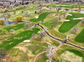 965 Saulsbury Street, Lakewood CO 80214