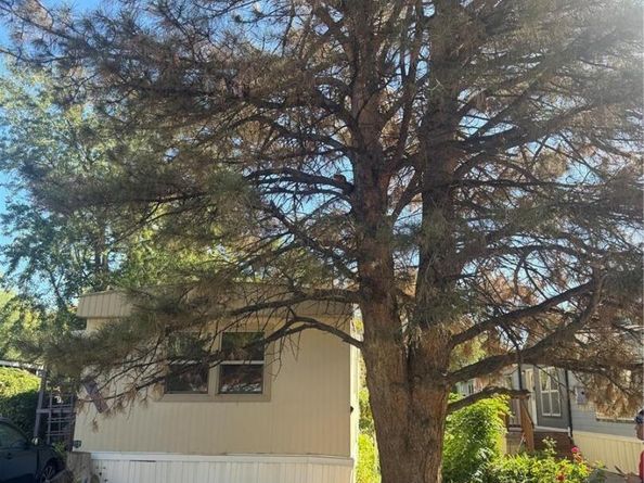 704 Meadowlark Drive 704, Lafayette CO 80026