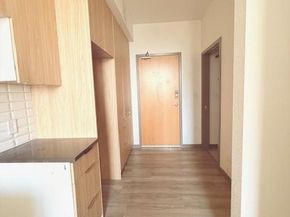 603 Inca Street 309, Denver CO 80204