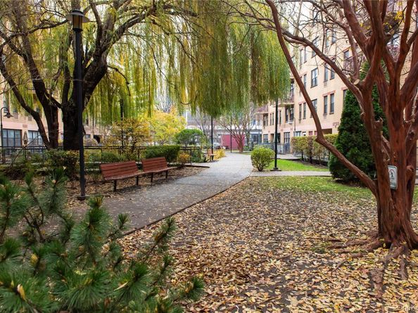 1901 Madison Avenue 301, New York (Manhattan) NY 10035