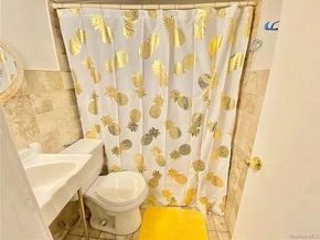 9 Adler Place, Brooklyn NY 11208