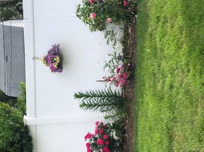 208 Emily Avenue, Elmont NY 11003