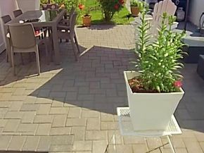 510 Reynolds Avenue, Bronx NY 10465