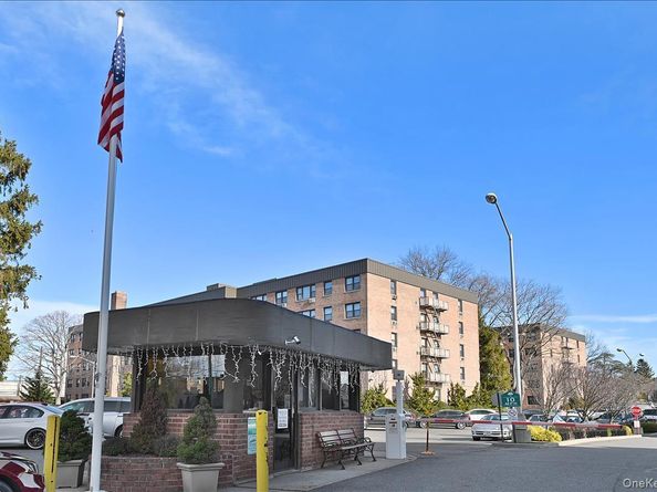 6 Birchwood Court 4N, Mineola NY 11501