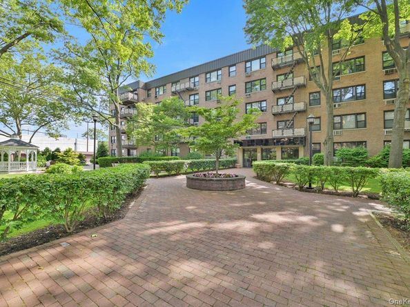 6 Birchwood Court 4N, Mineola NY 11501