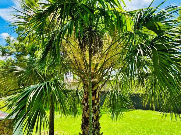 4000 NW 44th 106, Lauderdale Lakes FL 33319