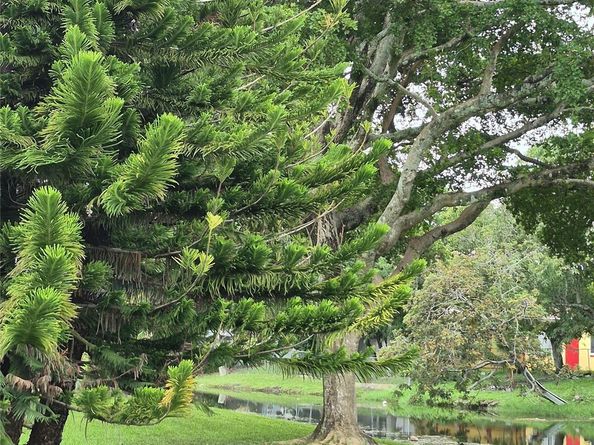 4000 NW 44th 106, Lauderdale Lakes FL 33319