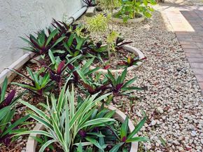 4000 NW 44th 106, Lauderdale Lakes FL 33319