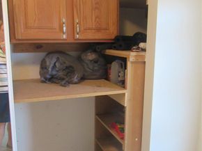 601 NW 76th Terrace 206, Margate FL 33063