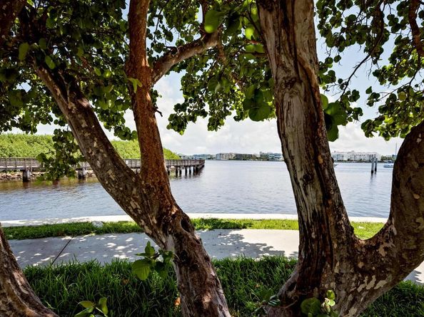 511 Lucerne Avenue 517, Lake Worth Beach FL 33460