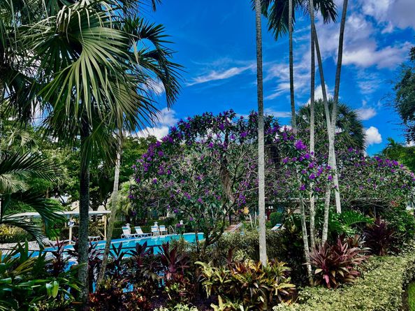 5121 W Oakland Park Boulevard 311, Lauderdale Lakes FL 33313