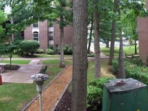 8310 Tobin Road 21, Annandale VA 22003