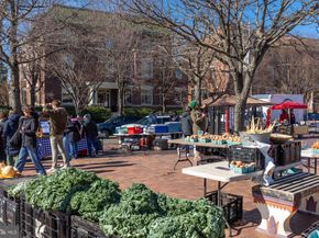 1613 Harvard Street NW 105, Washington DC 20009