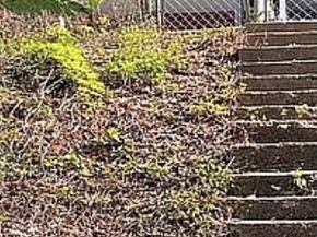 1165 Neal NE, Washington DC 20002