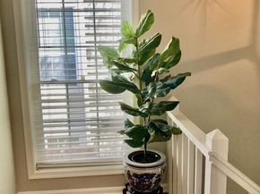 10087 Oakton Terrace Road, Oakton VA 22124