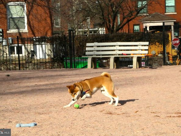 1610 11TH Street NW 3B, Washington DC 20001