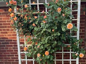 4900 1st Street NW, Washington DC 20011