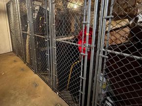 6301 Stevenson Avenue 711, Alexandria VA 22304