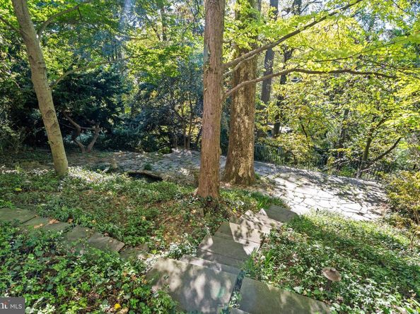 3214 Newark Street NW, Washington DC 20008