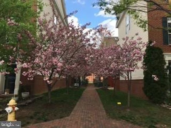 4925 Waple Lane, Alexandria VA 22304