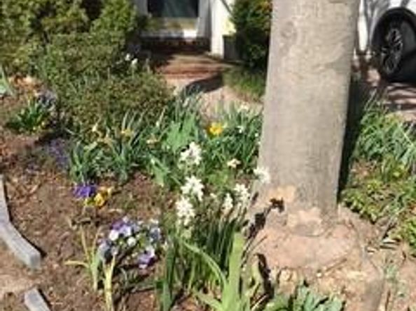 4925 Waple Lane, Alexandria VA 22304
