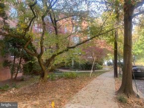 4100 W Street NW 416, Washington DC 20007