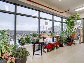 3625 10TH Street N 101, Arlington VA 22201