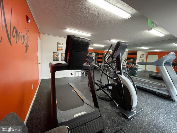 200 N Pickett Street N 703, Alexandria VA 22304