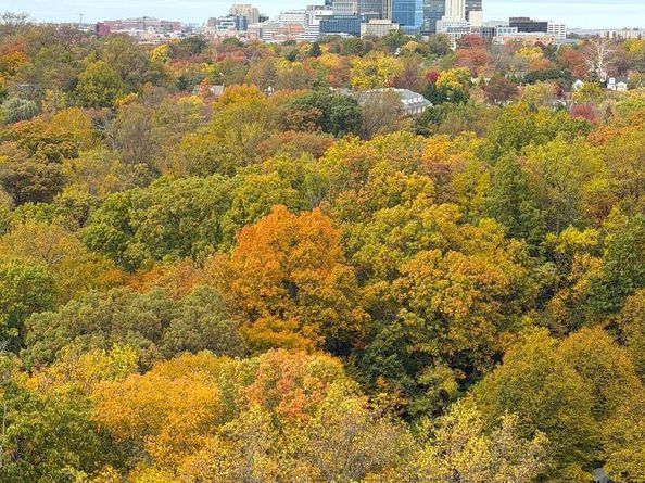 4601 N Park Avenue 1807G, Chevy Chase MD 20815