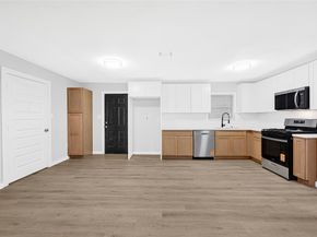 8707 Fannette Street, Houston TX 77029