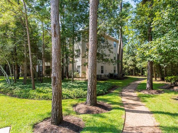 8051 Bay Branch Drive 312, The Woodlands TX 77382