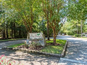 8051 Bay Branch Drive 312, The Woodlands TX 77382