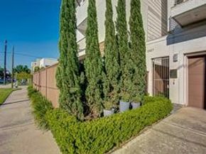 5407 Jackson Street, Houston TX 77004