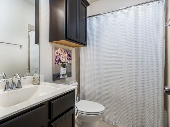 19514 Juniper Breeze Lane, Spring TX 77379