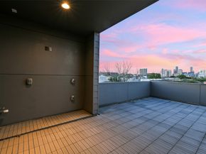 1509 Ruth Street, Houston TX 77004