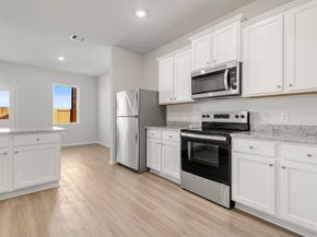 8218 Sunberry Shadow Drive, Houston TX 77016