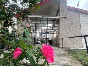 10855 Meadowglen Lane 903, Houston TX 77042