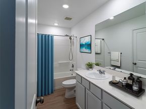 20914 Cropani Shadow Drive, New Caney TX 77357