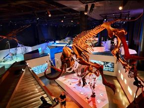 2010 Saint Charles Street, Houston TX 77003