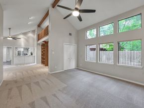 4 Coralvine Court, The Woodlands TX 77380