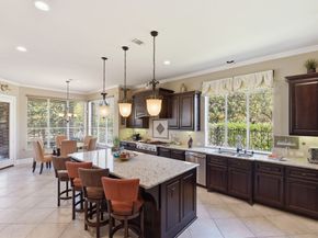 223 S Bauer Point Circle, Spring TX 77389