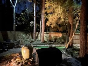 29 Pinewood Forest Court, The Woodlands TX 77381