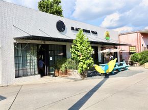 1125 Usener Street, Houston TX 77009