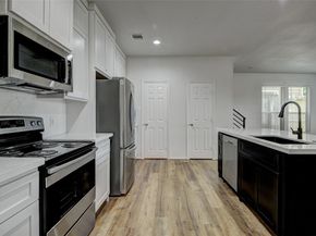 7042 Plum Creek Terrace Lane, Houston TX 77087