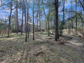 205 Purple Slate Place, The Woodlands TX 77381