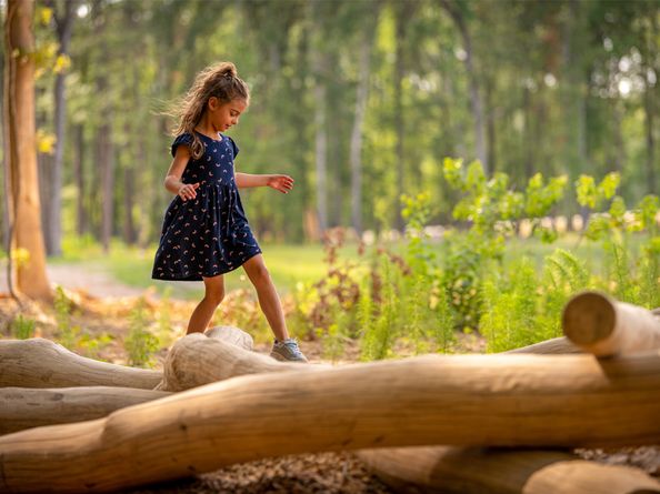 22407 Sawmill Pass Lane, Porter TX 77365