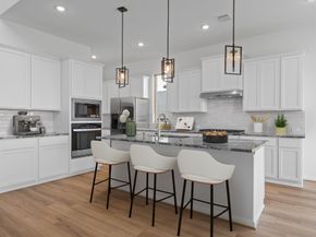 10706 Wild Blue Lupine Way, Cypress TX 77433