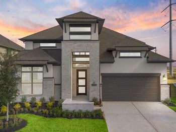 10706 Wild Blue Lupine Way