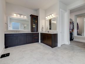 31275 Shady Arbor Lane, Spring TX 77386