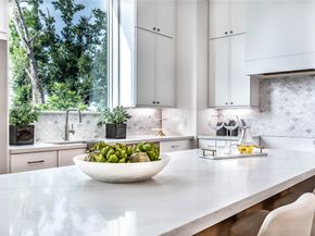 1602 Janak Garden Lane, Houston TX 77055